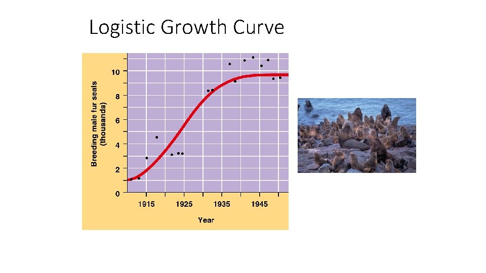 Logistic Growth Curve 