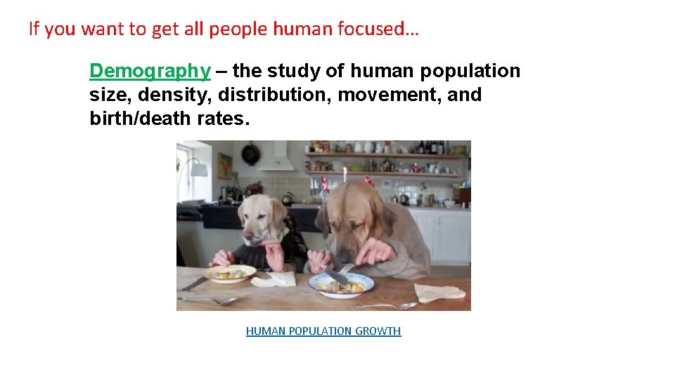 If you want to get all people human focused… Demography – the study of