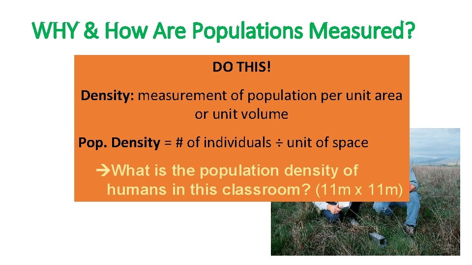 WHY & How Are Populations Measured? THIS! • Population density =DO number of individuals