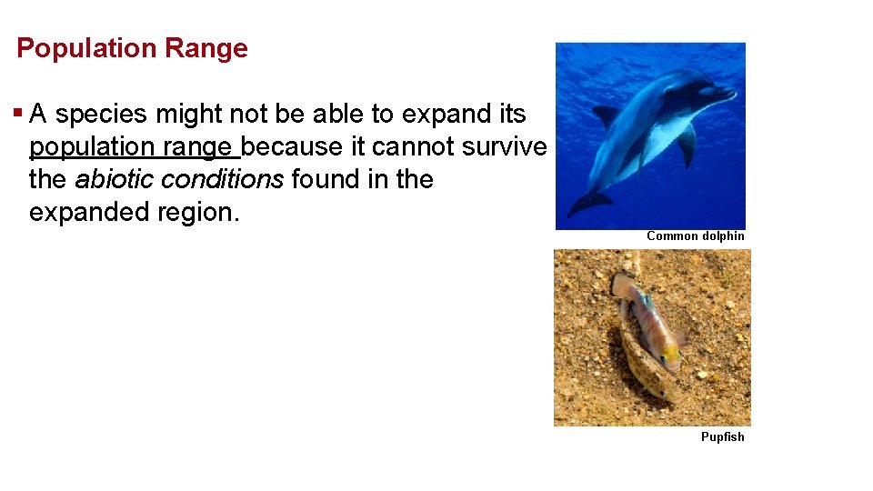 Population Range § A species might not be able to expand its population range