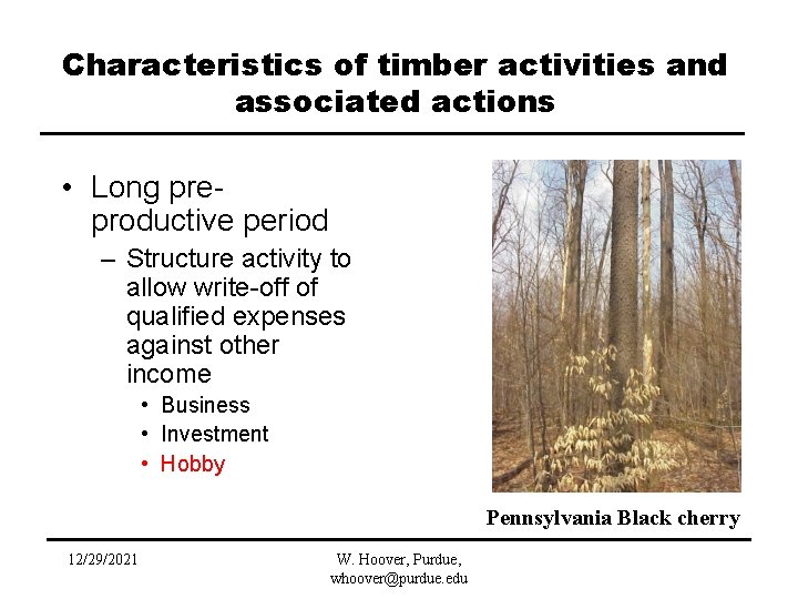 Characteristics of timber activities and associated actions • Long preproductive period – Structure activity