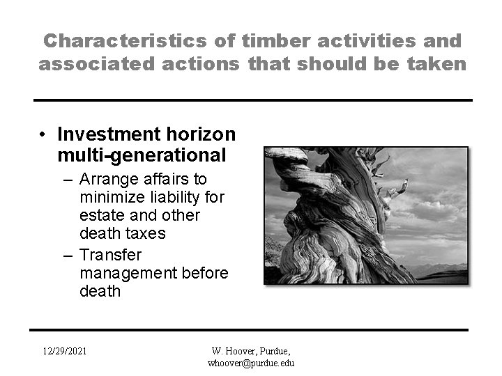 Characteristics of timber activities and associated actions that should be taken • Investment horizon