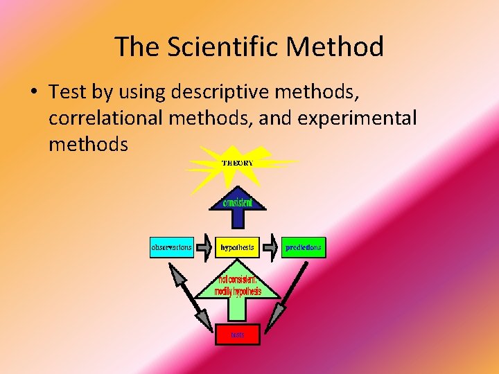 The Scientific Method • Test by using descriptive methods, correlational methods, and experimental methods