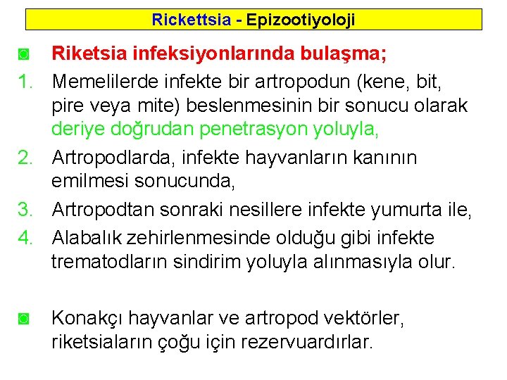 Rickettsia - Epizootiyoloji ◙ Riketsia infeksiyonlarında bulaşma; 1. Memelilerde infekte bir artropodun (kene, bit,