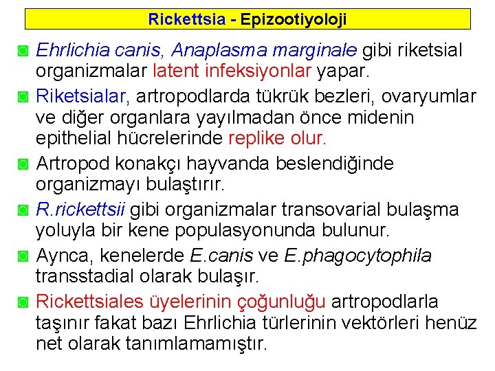 Rickettsia - Epizootiyoloji ◙ Ehrlichia canis, Anaplasma marginale gibi riketsial organizmalar latent infeksiyonlar yapar.