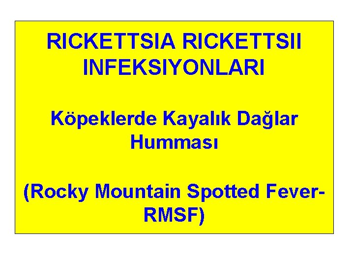 RICKETTSIA RICKETTSII INFEKSIYONLARI Köpeklerde Kayalık Dağlar Humması (Rocky Mountain Spotted Fever. RMSF) 
