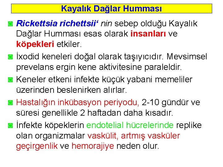 Kayalık Dağlar Humması ◙ Rickettsia richettsii‘ nin sebep olduğu Kayalık Dağlar Humması esas olarak