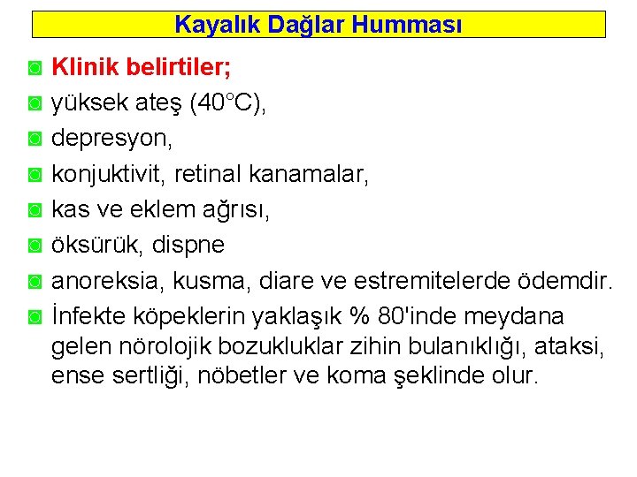 Kayalık Dağlar Humması ◙ ◙ ◙ ◙ Klinik belirtiler; yüksek ateş (40°C), depresyon, konjuktivit,