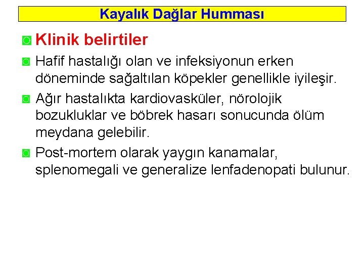 Kayalık Dağlar Humması ◙ Klinik belirtiler ◙ Hafif hastalığı olan ve infeksiyonun erken döneminde