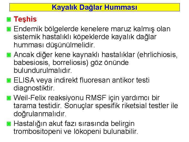 Kayalık Dağlar Humması ◙ Teşhis ◙ Endemik bölgelerde kenelere maruz kalmış olan sistemik hastalıklı