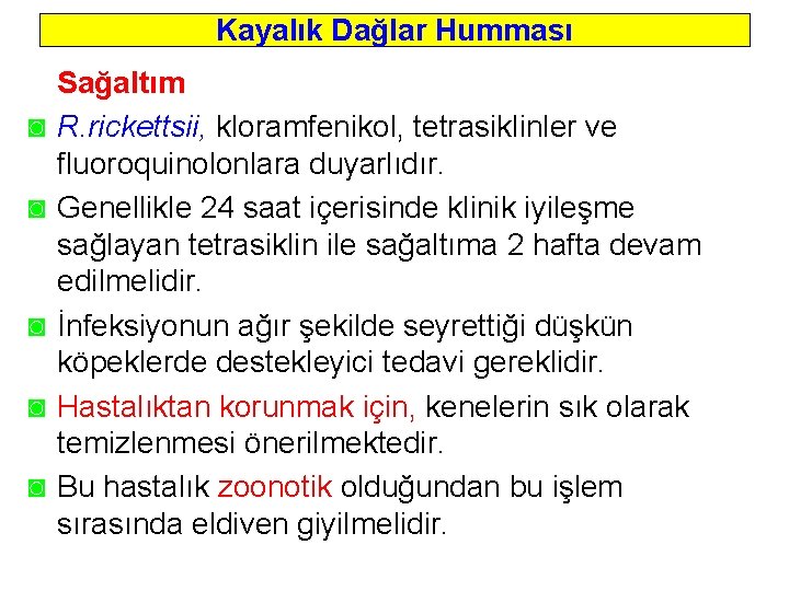 Kayalık Dağlar Humması ◙ ◙ ◙ Sağaltım R. rickettsii, kloramfenikol, tetrasiklinler ve fluoroquinolonlara duyarlıdır.