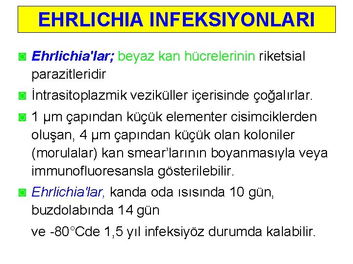 EHRLICHIA INFEKSIYONLARI ◙ Ehrlichia'lar; beyaz kan hücrelerinin riketsial parazitleridir ◙ İntrasitoplazmik veziküller içerisinde çoğalırlar.