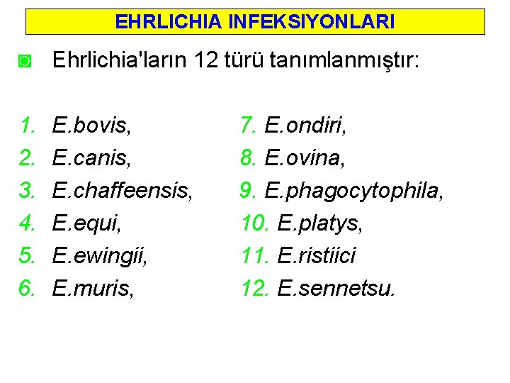 EHRLICHIA INFEKSIYONLARI ◙ Ehrlichia'ların 12 türü tanımlanmıştır: 1. 2. 3. 4. 5. 6. E.