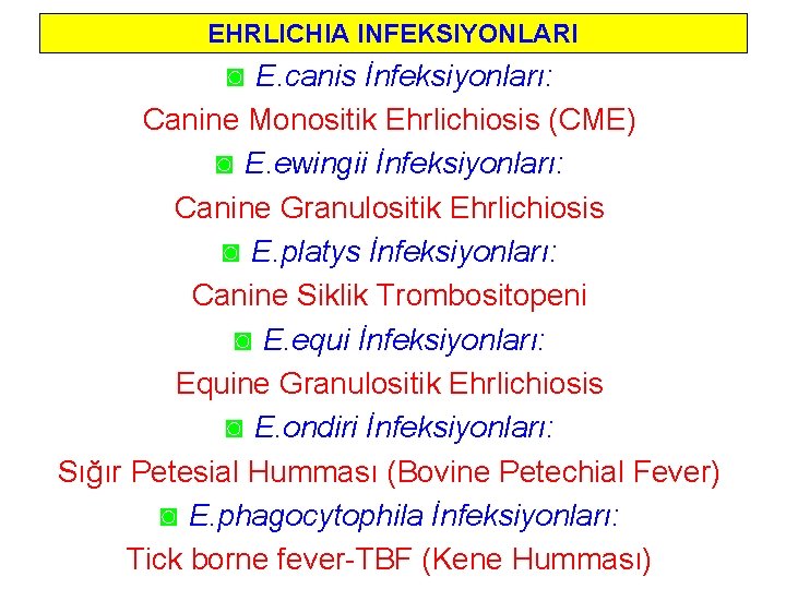 EHRLICHIA INFEKSIYONLARI ◙ E. canis İnfeksiyonları: Canine Monositik Ehrlichiosis (CME) ◙ E. ewingii İnfeksiyonları: