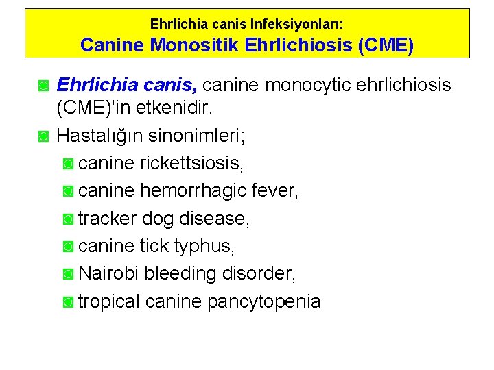 Ehrlichia canis Infeksiyonları: Canine Monositik Ehrlichiosis (CME) ◙ Ehrlichia canis, canine monocytic ehrlichiosis (CME)'in