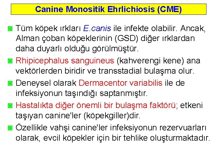 Canine Monositik Ehrlichiosis (CME) ◙ Tüm köpek ırkları E. canis ile infekte olabilir. Ancak,