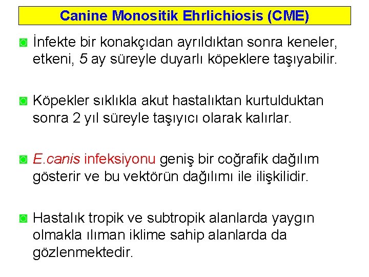 Canine Monositik Ehrlichiosis (CME) ◙ İnfekte bir konakçıdan ayrıldıktan sonra keneler, etkeni, 5 ay