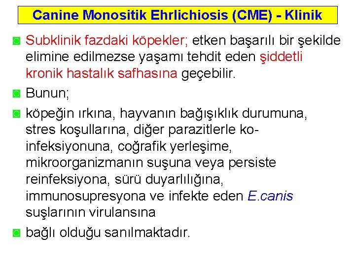 Canine Monositik Ehrlichiosis (CME) - Klinik ◙ Subklinik fazdaki köpekler; etken başarılı bir şekilde