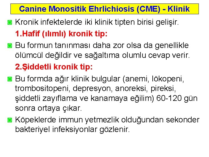 Canine Monositik Ehrlichiosis (CME) - Klinik ◙ Kronik infektelerde iki klinik tipten birisi gelişir.