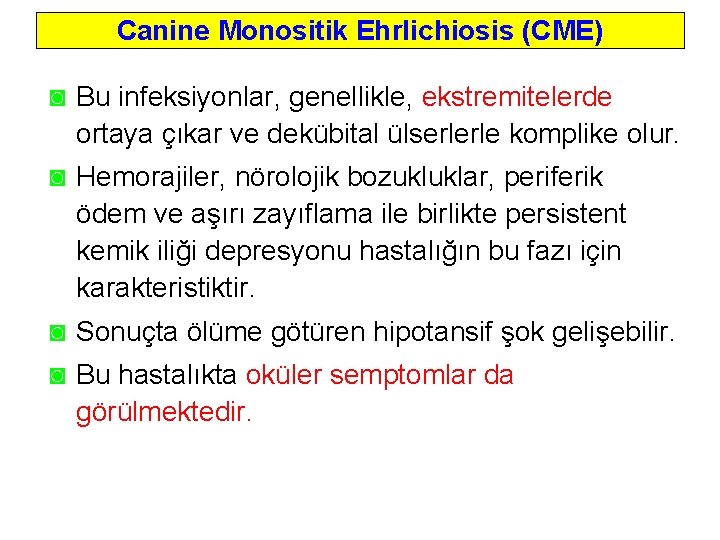 Canine Monositik Ehrlichiosis (CME) ◙ Bu infeksiyonlar, genellikle, ekstremitelerde ortaya çıkar ve dekübital ülserlerle