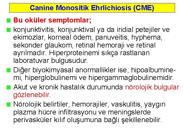 Canine Monositik Ehrlichiosis (CME) ◙ Bu oküler semptomlar; ◙ konjunktivitis, konjunktival ya da iridial