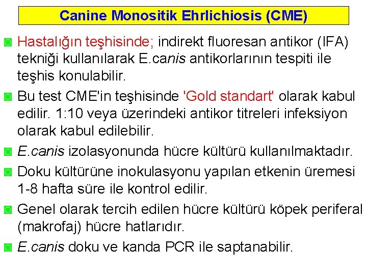 Canine Monositik Ehrlichiosis (CME) ◙ Hastalığın teşhisinde; indirekt fluoresan antikor (IFA) tekniği kullanılarak E.