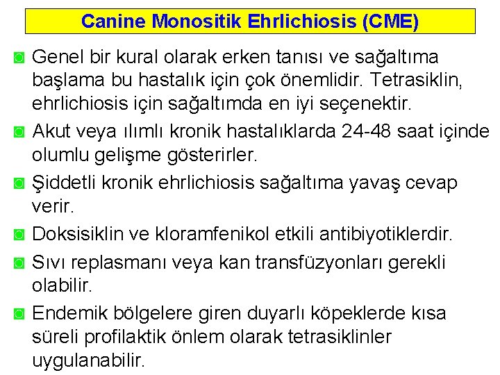 Canine Monositik Ehrlichiosis (CME) ◙ Genel bir kural olarak erken tanısı ve sağaltıma başlama