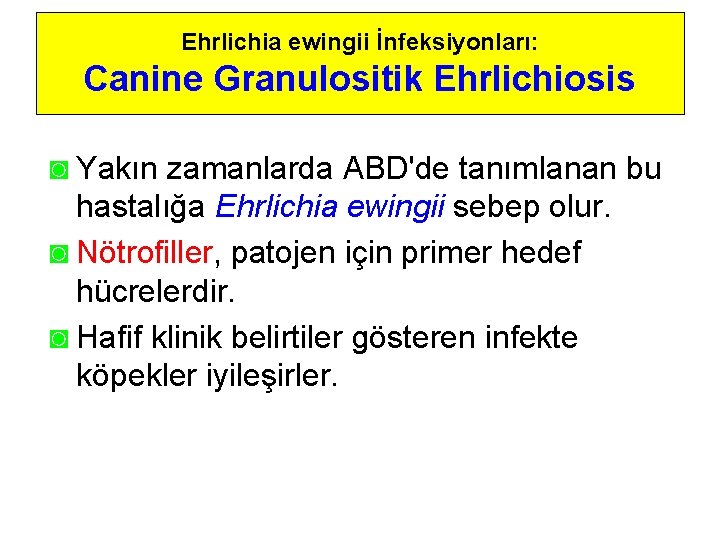 Ehrlichia ewingii İnfeksiyonları: Canine Granulositik Ehrlichiosis ◙ Yakın zamanlarda ABD'de tanımlanan bu hastalığa Ehrlichia