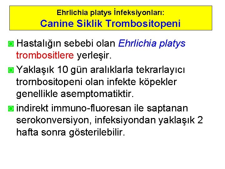 Ehrlichia platys İnfeksiyonları: Canine Siklik Trombositopeni ◙ Hastalığın sebebi olan Ehrlichia platys trombositlere yerleşir.