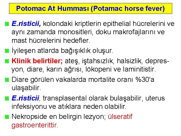 Potomac At Humması (Potamac horse fever) ◙ E. risticii, kolondaki kriptlerin epithelial hücrelerini ve