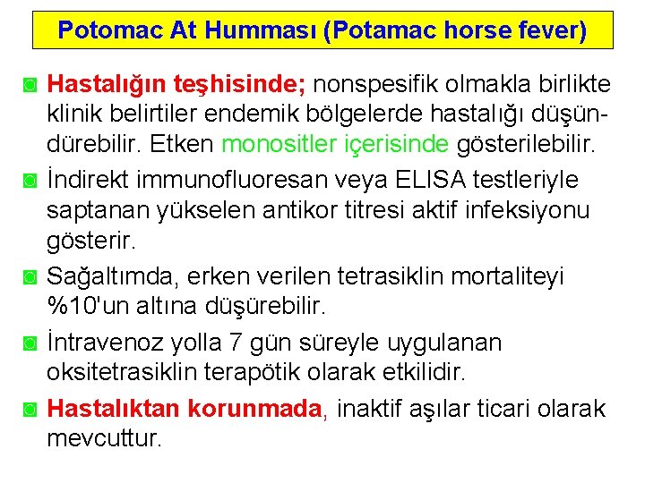 Potomac At Humması (Potamac horse fever) ◙ Hastalığın teşhisinde; nonspesifik olmakla birlikte klinik belirtiler