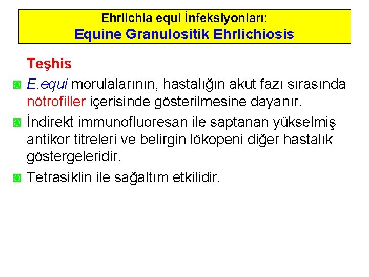 Ehrlichia equi İnfeksiyonları: Equine Granulositik Ehrlichiosis Teşhis ◙ E. equi morulalarının, hastalığın akut fazı