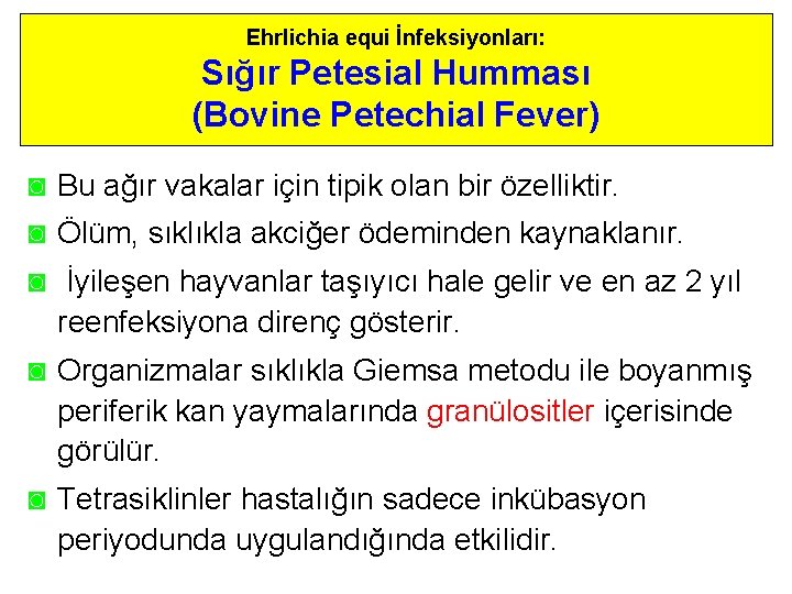 Ehrlichia equi İnfeksiyonları: Sığır Petesial Humması (Bovine Petechial Fever) ◙ Bu ağır vakalar için