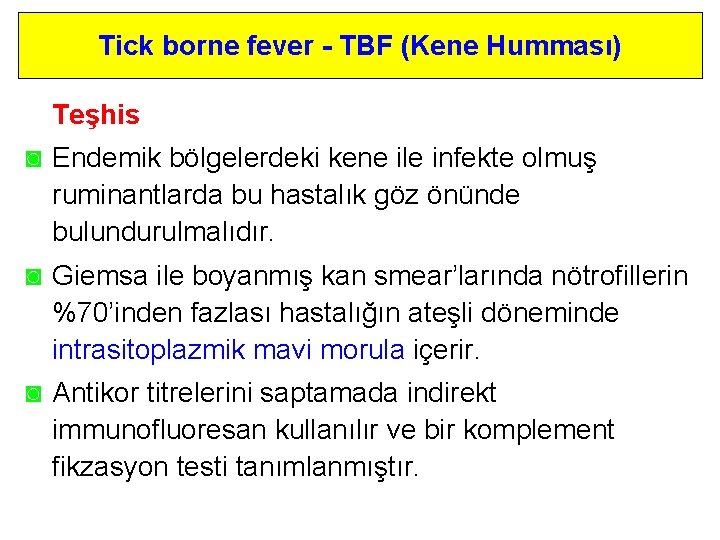 Tick borne fever - TBF (Kene Humması) Teşhis ◙ Endemik bölgelerdeki kene ile infekte