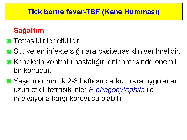 Tick borne fever-TBF (Kene Humması) ◙ ◙ Sağaltım Tetrasiklinler etkilidir. Süt veren infekte sığırlara