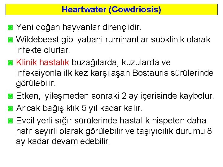 Heartwater (Cowdriosis) ◙ Yeni doğan hayvanlar dirençlidir. ◙ Wildebeest gibi yabani ruminantlar subklinik olarak