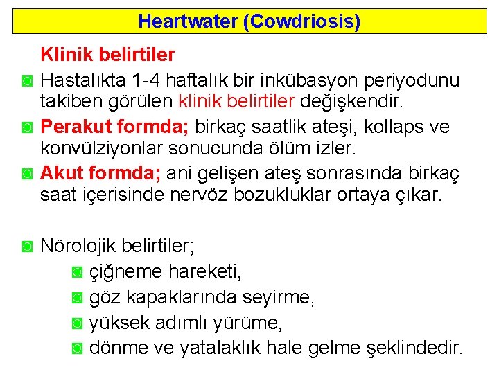 Heartwater (Cowdriosis) Klinik belirtiler ◙ Hastalıkta 1 4 haftalık bir inkübasyon periyodunu takiben görülen