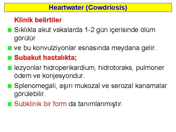 Heartwater (Cowdriosis) ◙ ◙ ◙ Klinik belirtiler Sıklıkla akut vakalarda 1 2 gün içerisinde