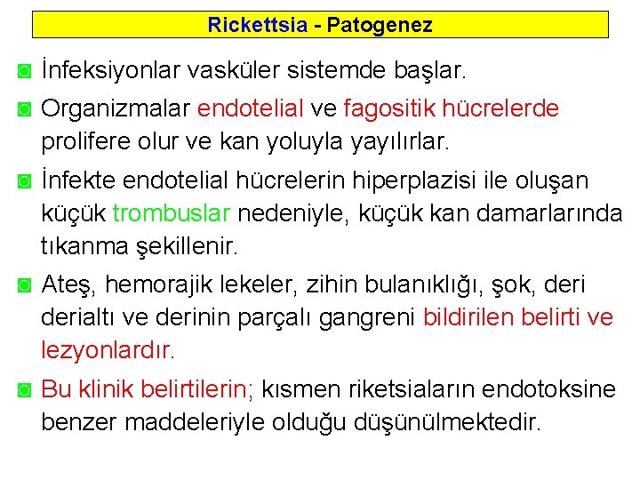 Rickettsia - Patogenez ◙ İnfeksiyonlar vasküler sistemde başlar. ◙ Organizmalar endotelial ve fagositik hücrelerde