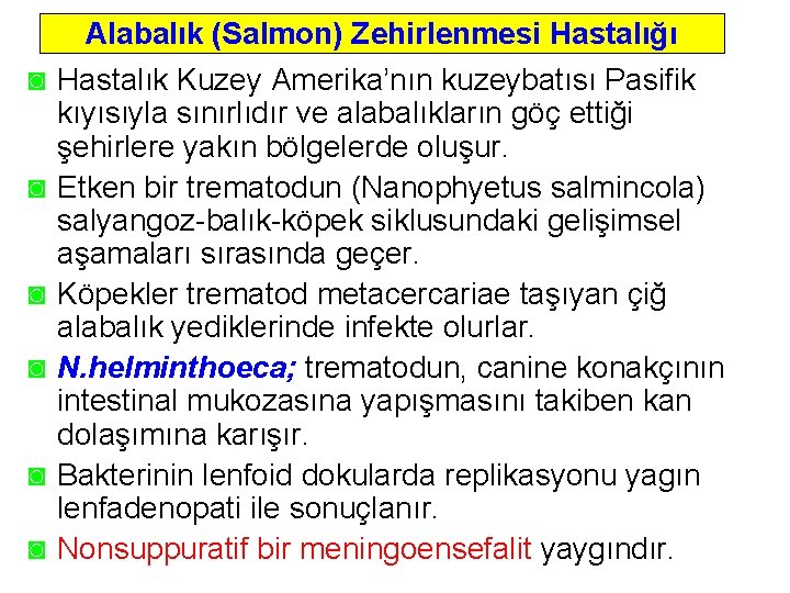 ◙ ◙ ◙ Alabalık (Salmon) Zehirlenmesi Hastalığı Hastalık Kuzey Amerika’nın kuzeybatısı Pasifik kıyısıyla sınırlıdır