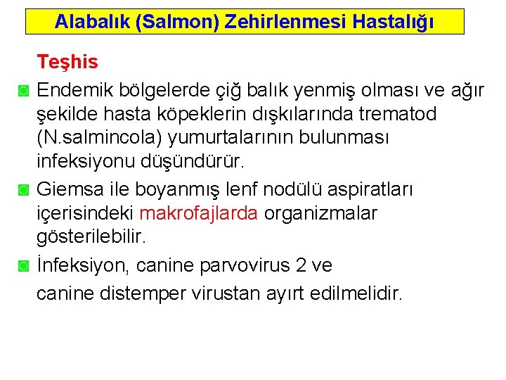 Alabalık (Salmon) Zehirlenmesi Hastalığı Teşhis ◙ Endemik bölgelerde çiğ balık yenmiş olması ve ağır