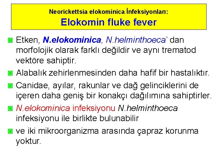 Neorickettsia elokominica İnfeksiyonları: Elokomin fluke fever ◙ Etken, N. elokominica, N. helminthoeca’ dan morfolojik