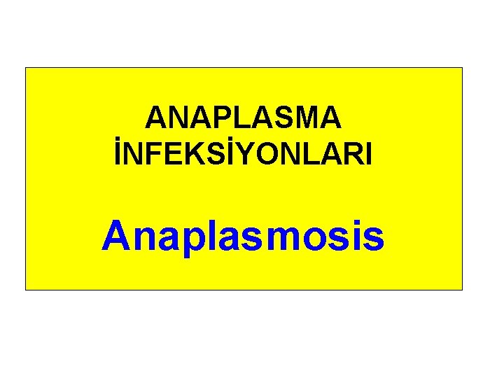 ANAPLASMA İNFEKSİYONLARI Anaplasmosis 