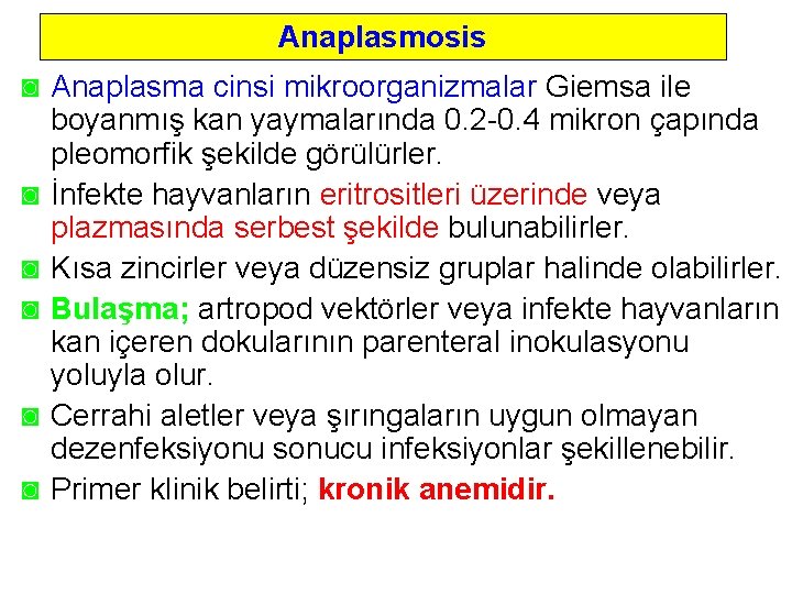 Anaplasmosis ◙ Anaplasma cinsi mikroorganizmalar Giemsa ile boyanmış kan yaymalarında 0. 2 0. 4