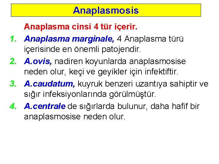 Anaplasmosis 1. 2. 3. 4. Anaplasma cinsi 4 tür içerir. Anaplasma marginale, 4 Anaplasma