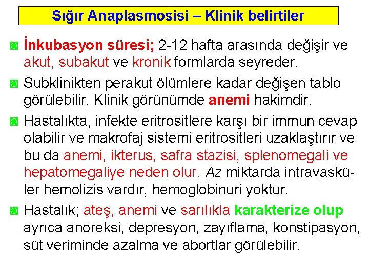 Sığır Anaplasmosisi – Klinik belirtiler ◙ İnkubasyon süresi; 2 12 hafta arasında değişir ve