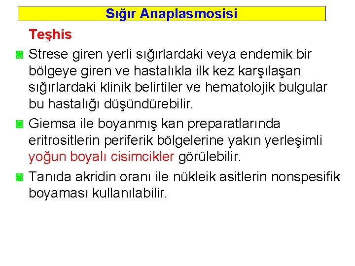 Sığır Anaplasmosisi Teşhis ◙ Strese giren yerli sığırlardaki veya endemik bir bölgeye giren ve