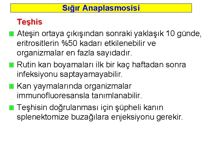 Sığır Anaplasmosisi ◙ ◙ Teşhis Ateşin ortaya çıkışından sonraki yaklaşık 10 günde, eritrositlerin %50