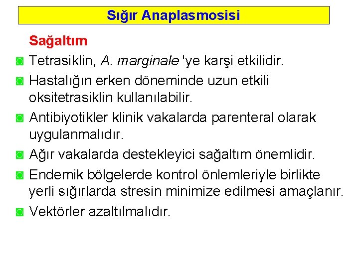 Sığır Anaplasmosisi ◙ ◙ ◙ Sağaltım Tetrasiklin, A. marginale 'ye karşi etkilidir. Hastalığın erken