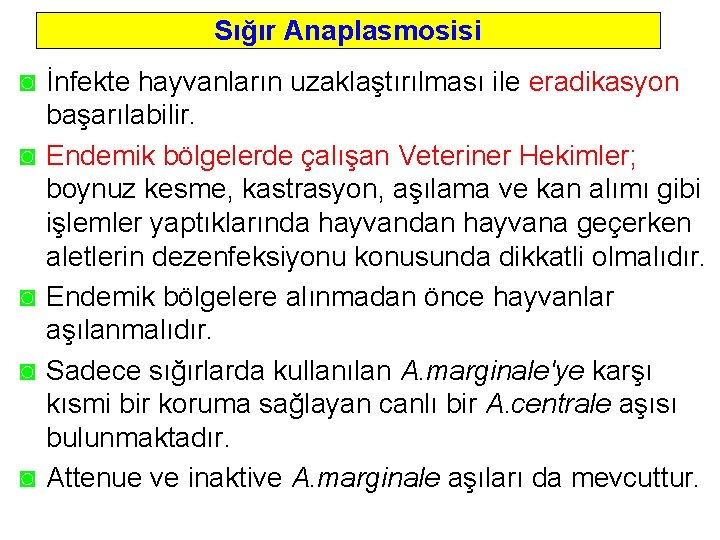 Sığır Anaplasmosisi ◙ İnfekte hayvanların uzaklaştırılması ile eradikasyon başarılabilir. ◙ Endemik bölgelerde çalışan Veteriner